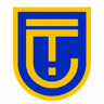 The Consultant logo